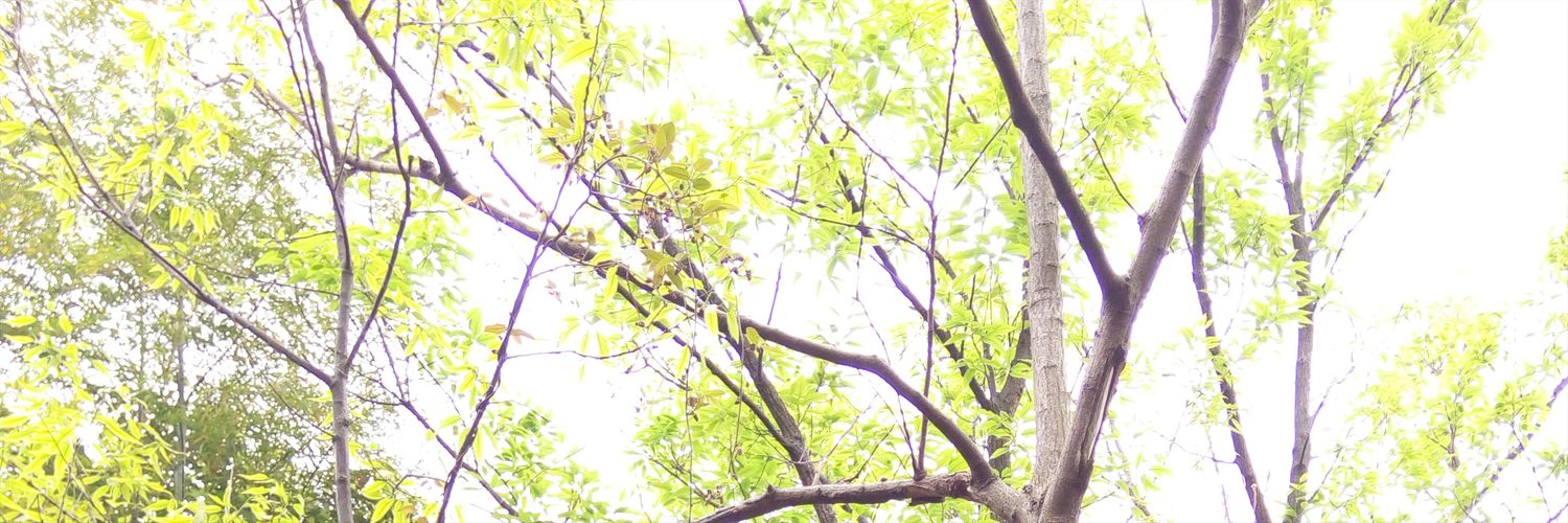 XMSXvincent's profile banner image