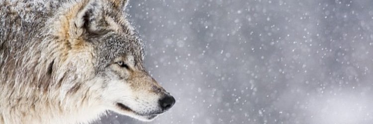 _Mjw3's profile banner image