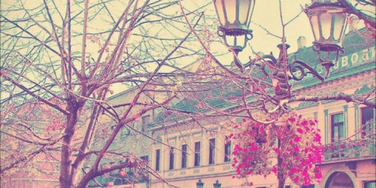 ArianaRPGHUGM's profile banner image