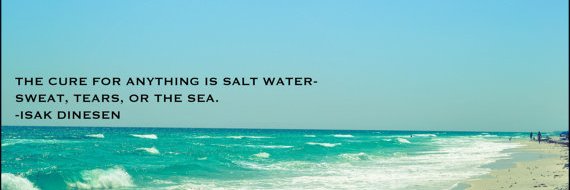 𝑱𝒖𝒅𝒊𝒕𝒉 𝑾𝒉𝒆𝒍𝒂𝒏 banner