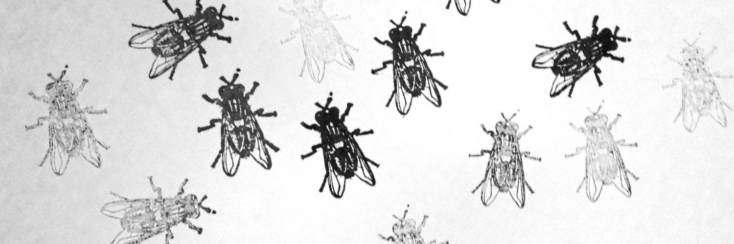 RebelsLaugh's profile banner image