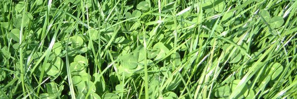 FieldOptions Profile Banner