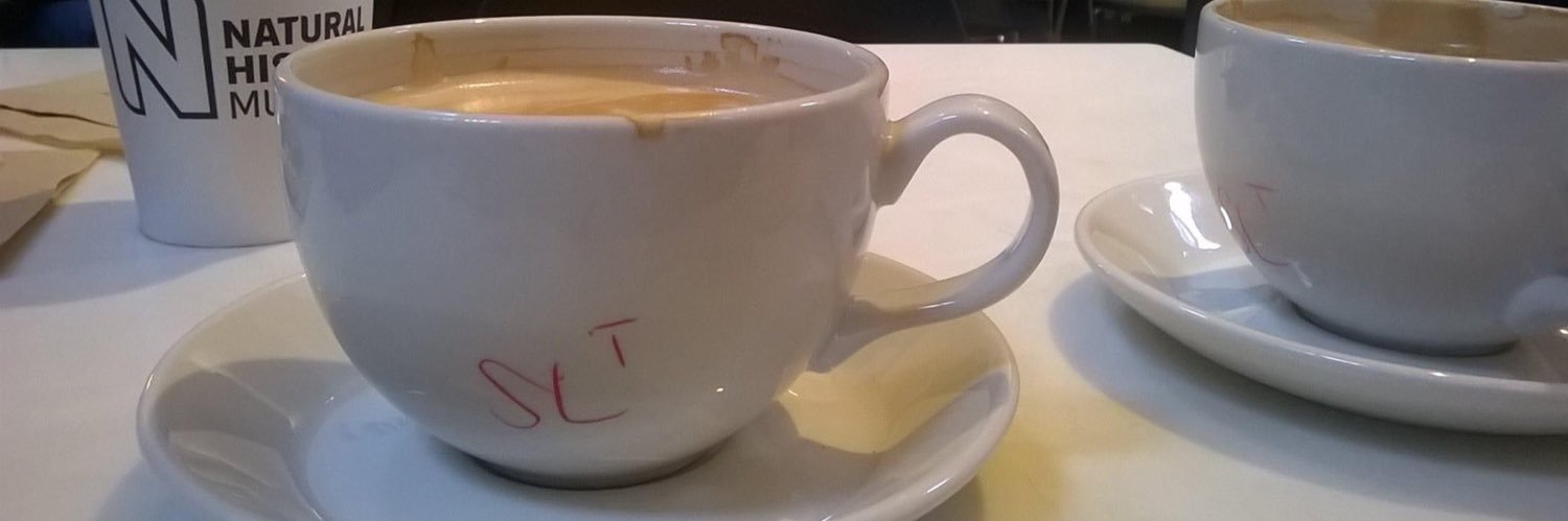 StellaAphasia's profile banner image