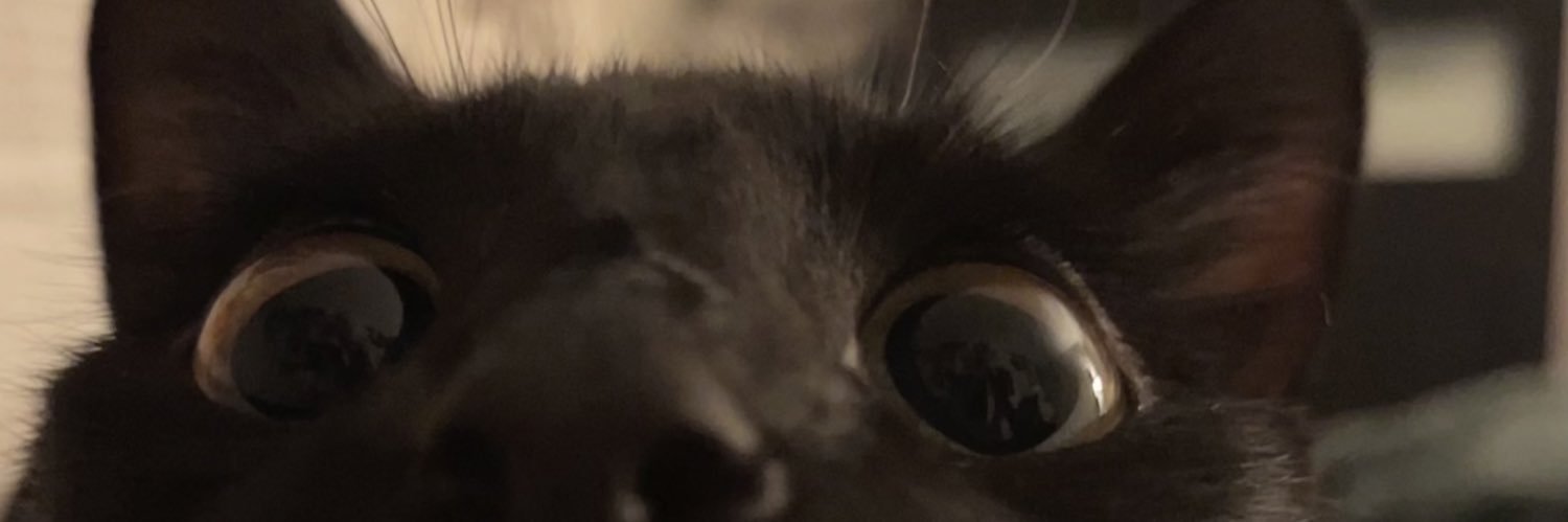 accuallykaleigh's profile banner image