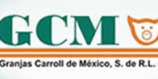 GCM_VER's profile banner image