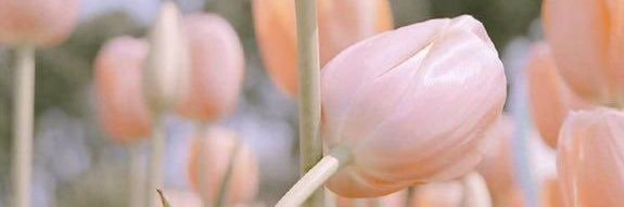 bendraaa's profile banner image