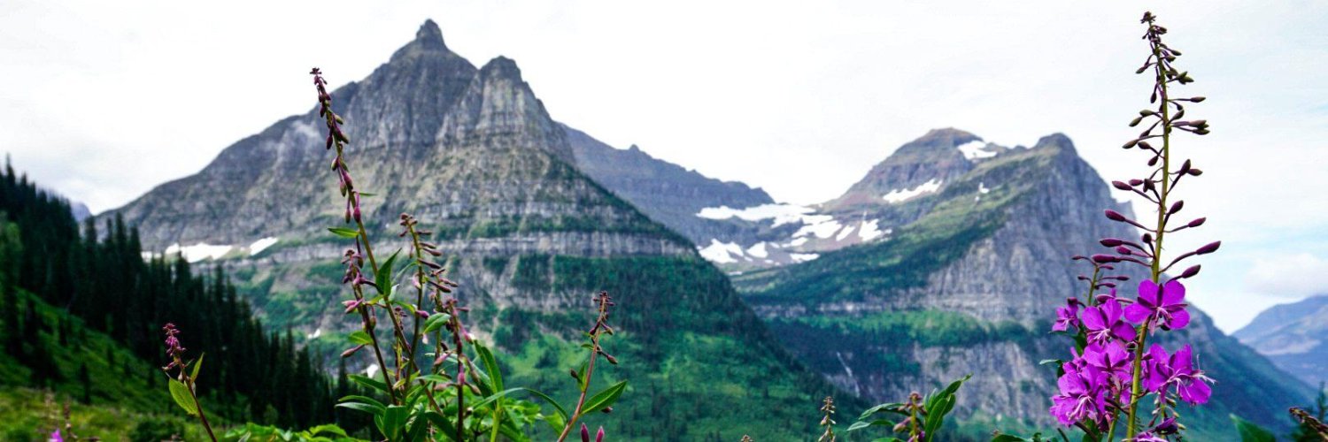 MeghanSinnott's profile banner image