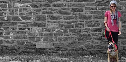 LPBCblog's profile banner image
