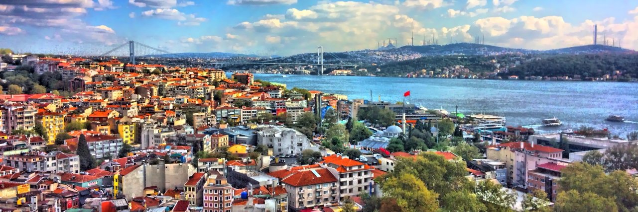 Bertay Fisekci banner