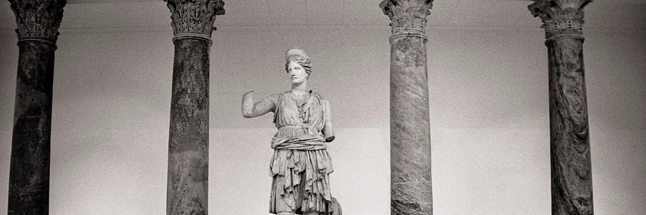 paoliniesther's profile banner image