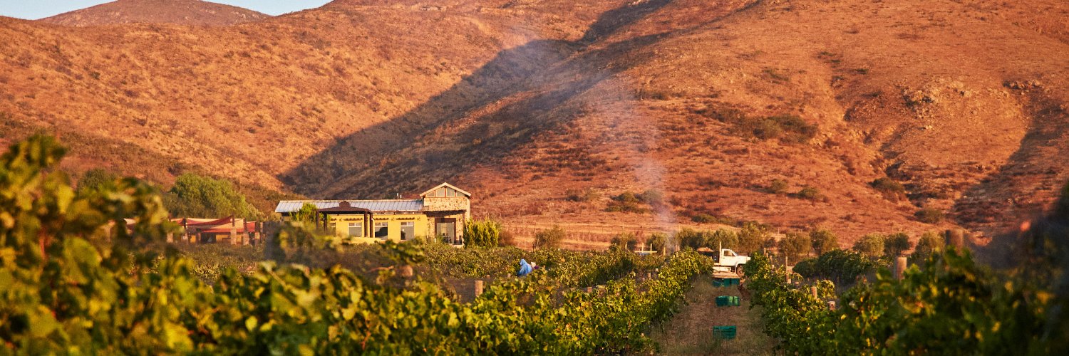 Bodegas F. Rubio banner