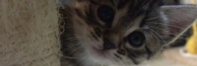 MissGeekette59's profile banner image