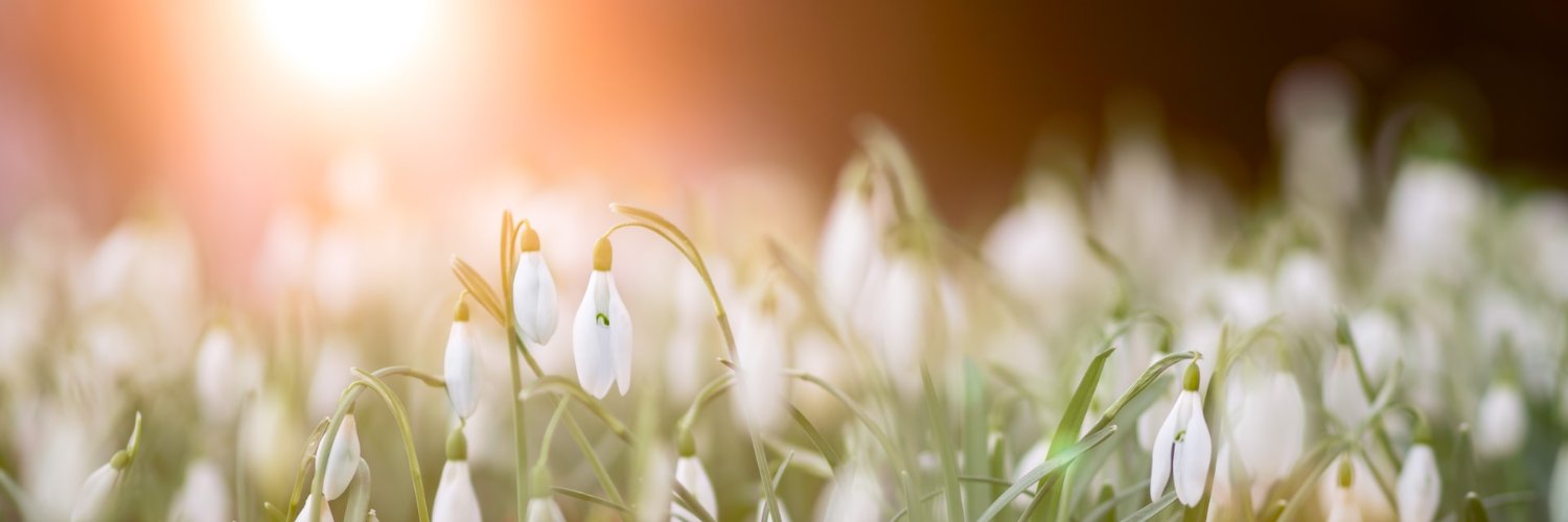 SebEdenWrites's profile banner image