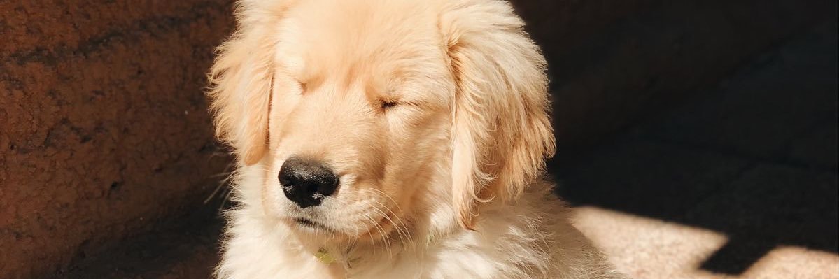 MadeCousillas's profile banner image
