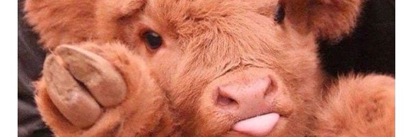 grocergeek Profile Banner