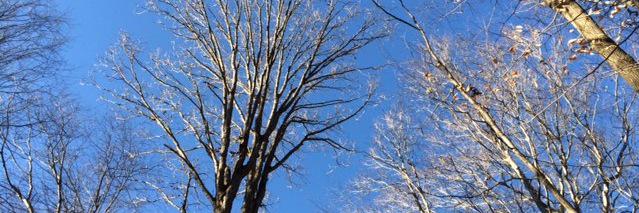 José Miguel López banner