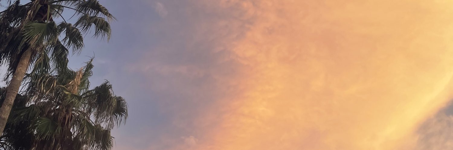 gabsmartinss_'s profile banner image