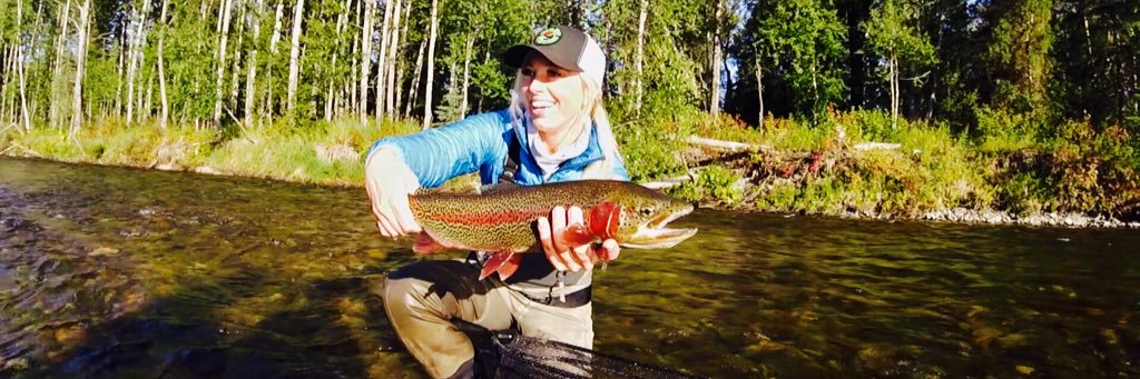 Kari Ellsworth banner