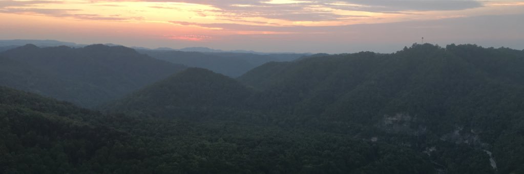 LyssMusick's profile banner image