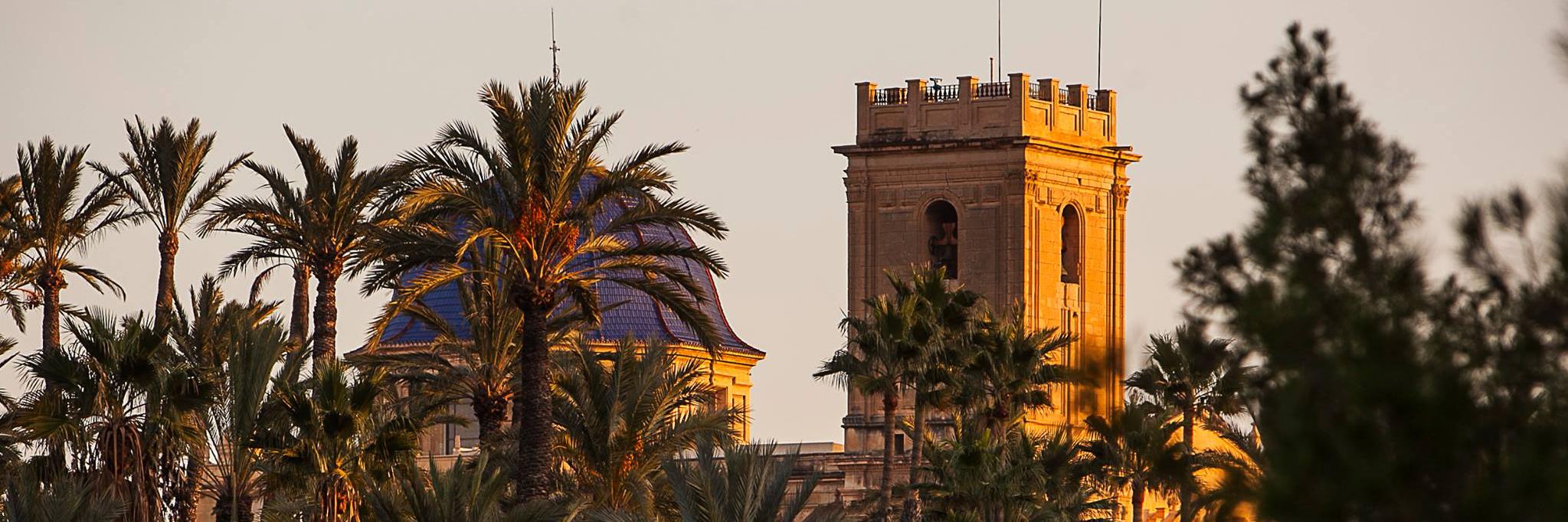 INFORMACIÓN Elche banner