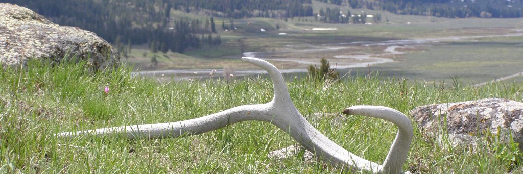 USGS in Montana banner