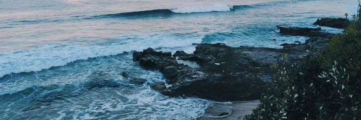 15Lelys's profile banner image