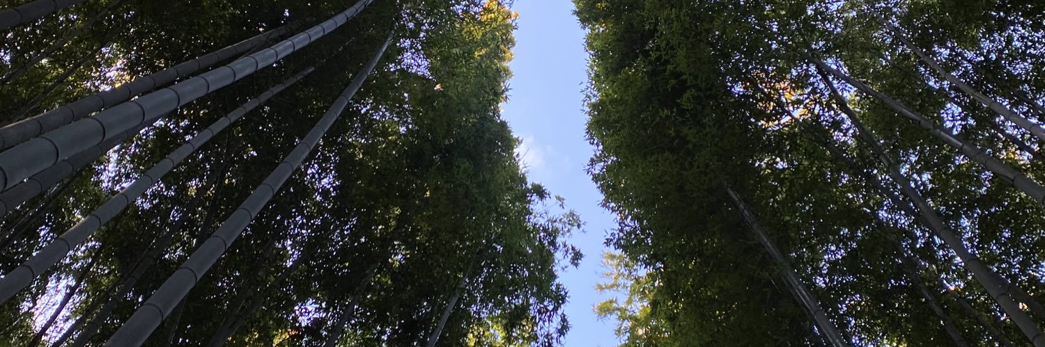 mattprender1's profile banner image