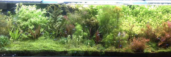 mutou710 Profile Banner