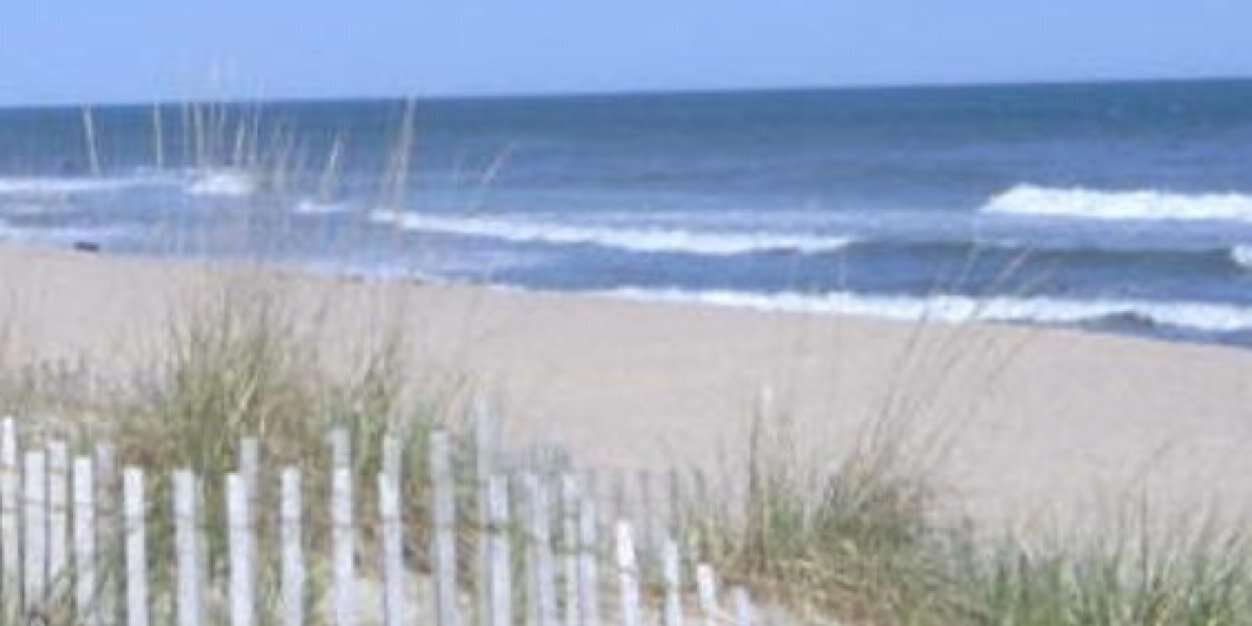 hamptonsbuzz's profile banner image