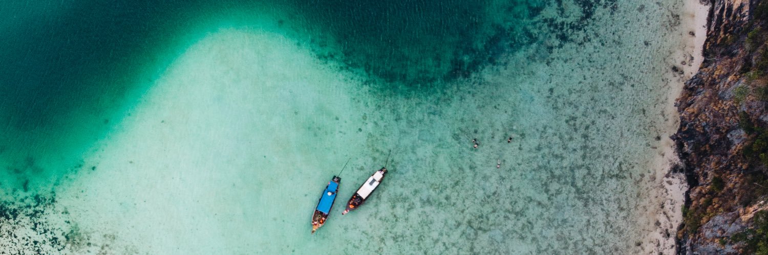 Octavian Rosca banner