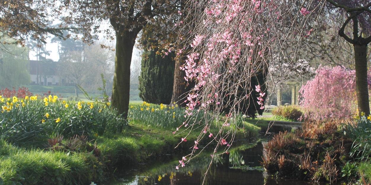 fillyfauna's profile banner image