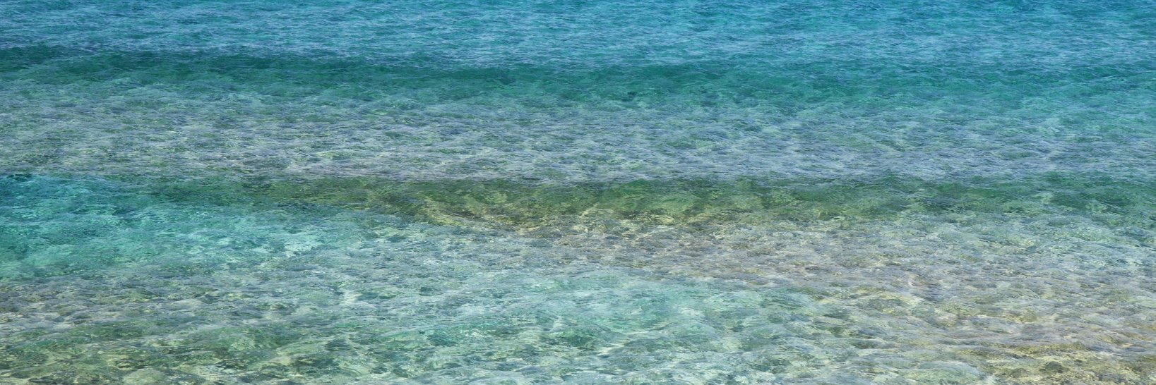 KZNBeachCleanup's profile banner image
