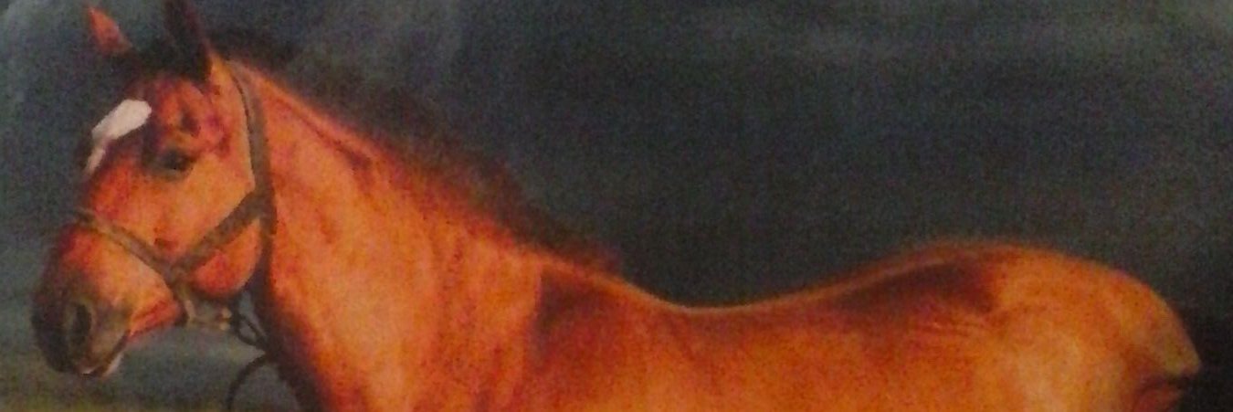 SturgillDawn's profile banner image