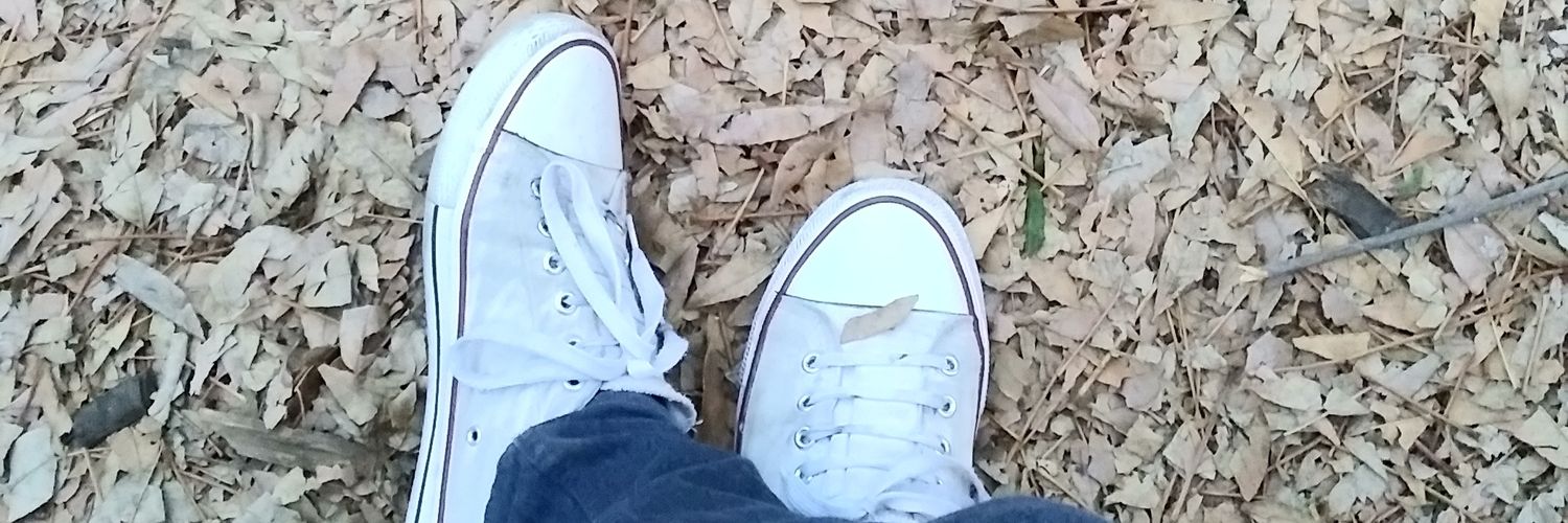 CarlosHT06's profile banner image