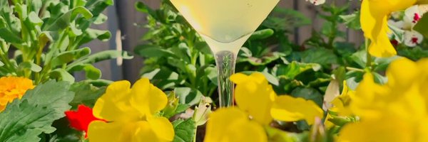 ShelleyDav83 Profile Banner