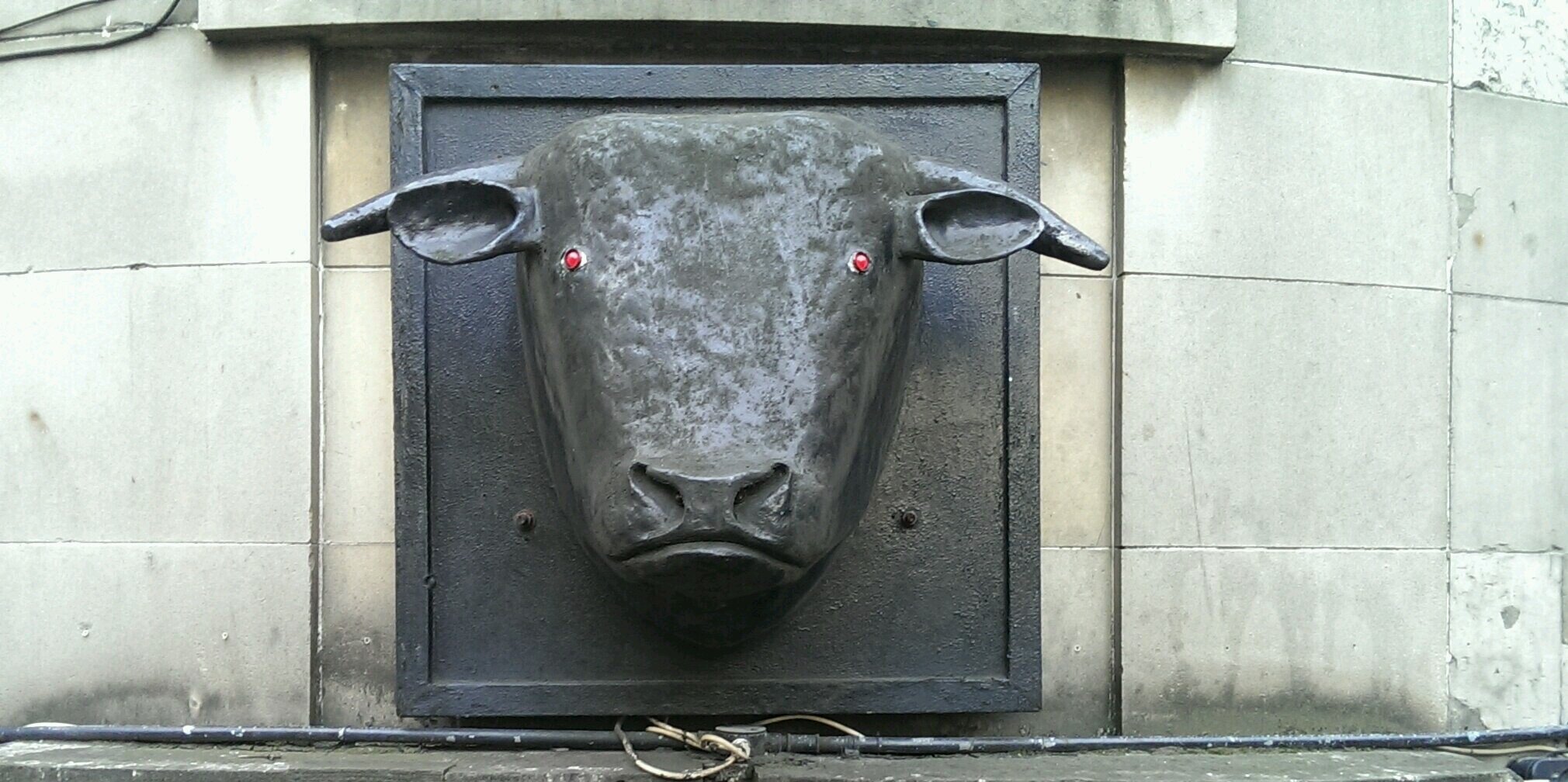 BlackBullRocks's profile banner image