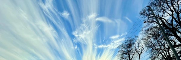 tolvet Profile Banner