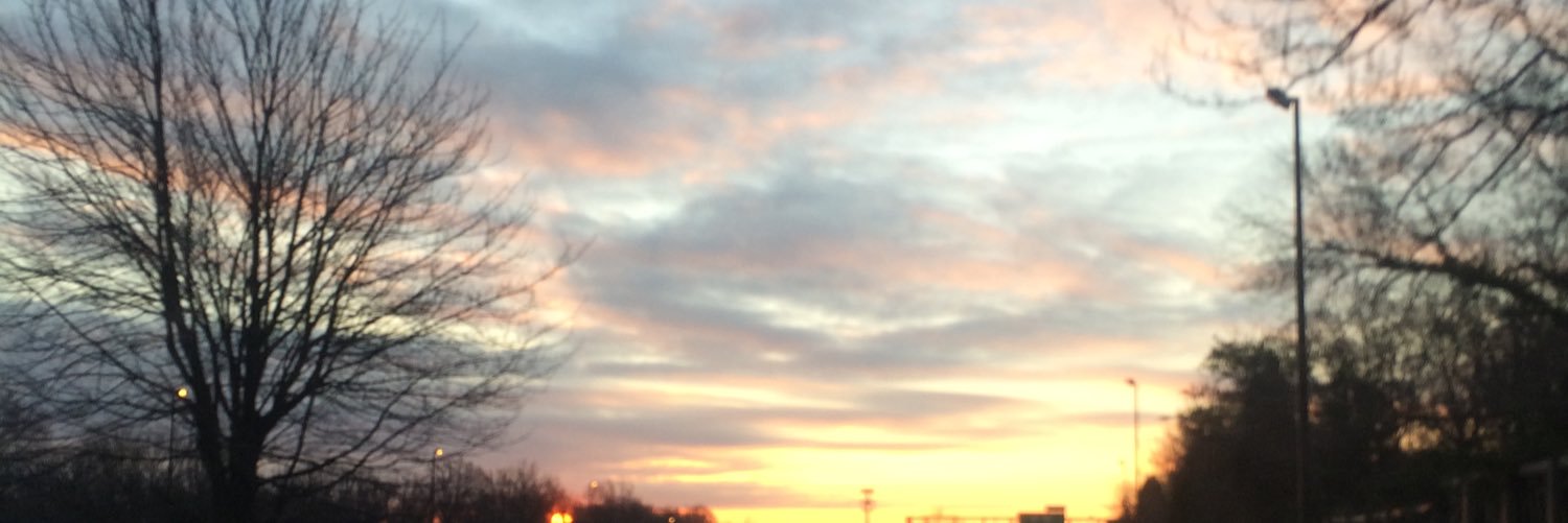lildrahoee's profile banner image