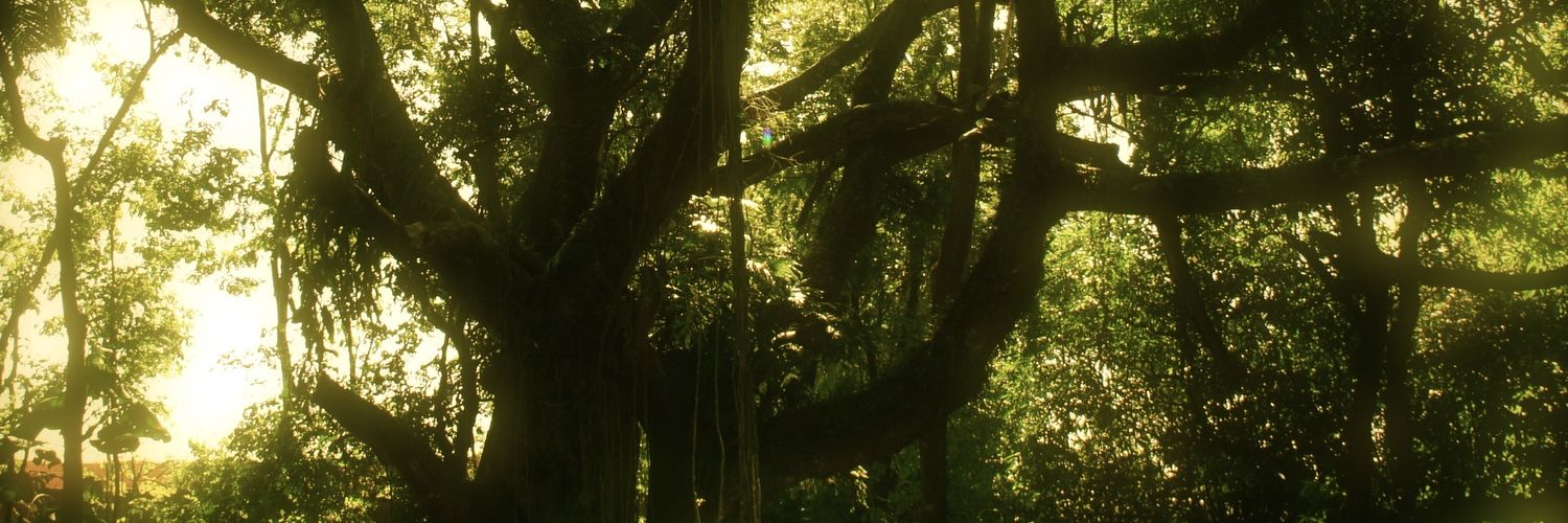 InstHildaHilst's profile banner image