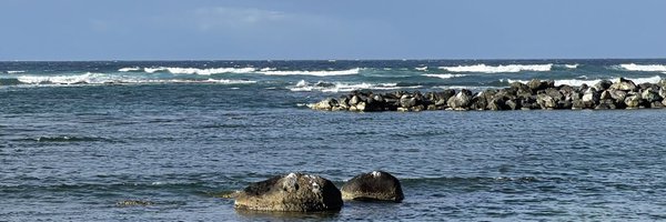 Edraue Profile Banner