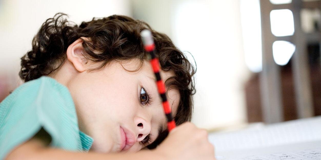 Startup Learning banner