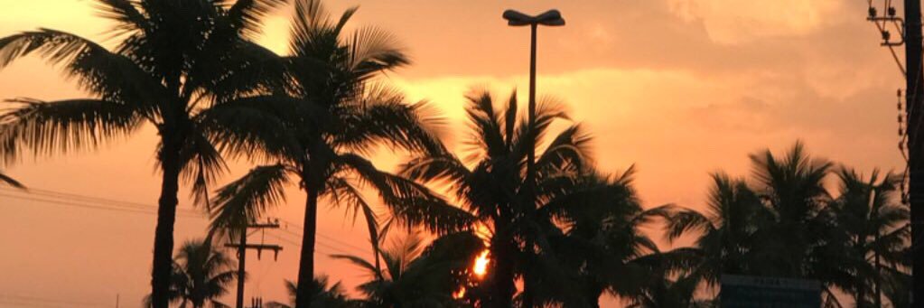 diegobarrios_of's profile banner image