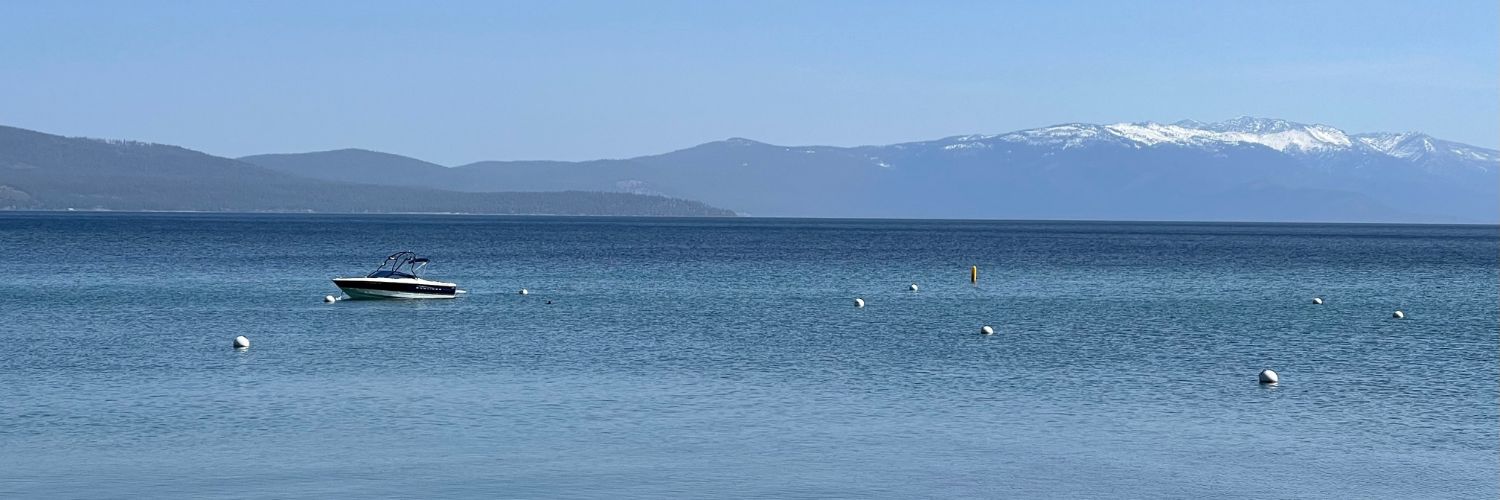 Susan Cochran banner