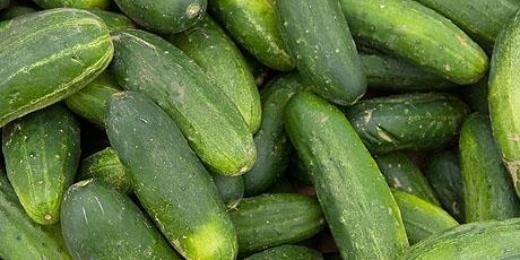 cucumber5eva's profile banner image