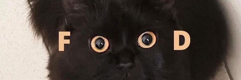 Hasnarifani's profile banner image