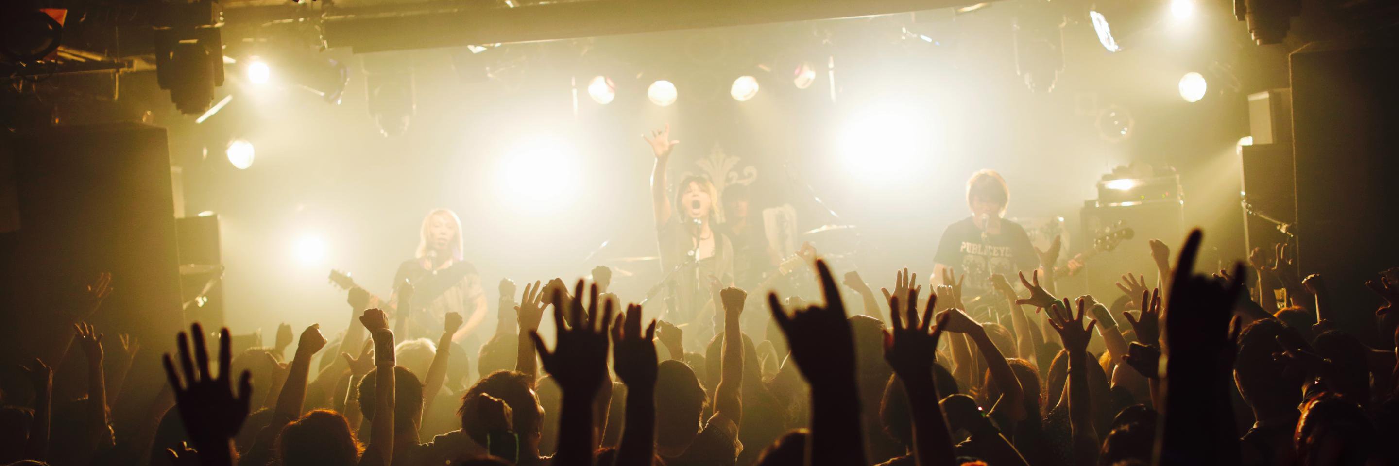 dazedgarden's profile banner image