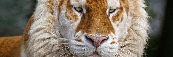 Jimmy_Sands's profile banner image
