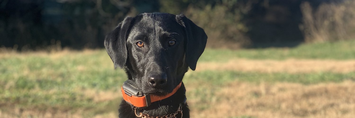 BreeBroome's profile banner image