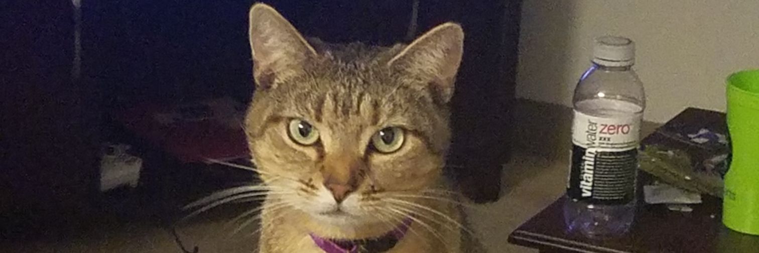 TeletobyT's profile banner image