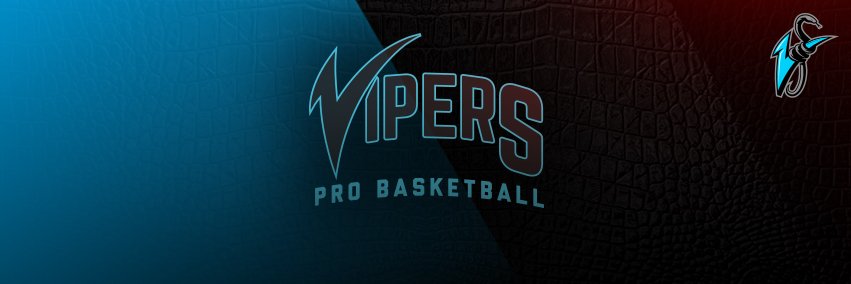 Vipers ProBasketball banner